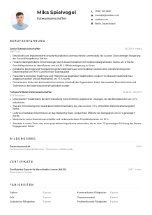 Lebenslauf-Muster für Datenwissenschaftler*in