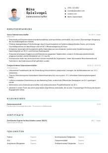 Lebenslauf-Vorlage für Datenwissenschaftler*in #3