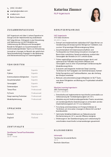 Lebenslauf-Vorlage für NLP-Ingenieur*in #3