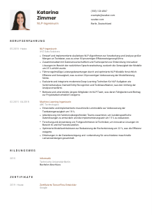Lebenslauf-Vorlage für NLP-Ingenieur*in #1