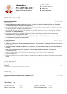 Lebenslauf-Muster für Datensicherheitsanalyst*in