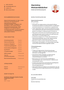 Lebenslauf-Vorlage für Datensicherheitsanalyst*in #3