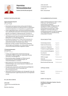 Lebenslauf-Vorlage für Datensicherheitsanalyst*in #1