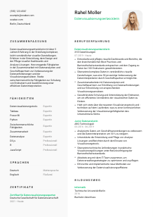 Lebenslauf-Vorlage für Datenvisualisierungsentwickler*in #2