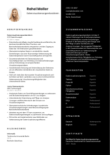 Lebenslauf-Vorlage für Datenvisualisierungsentwickler*in #3