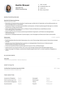 Lebenslauf-Muster für Spezialist*in für Datenvisualisierung