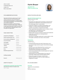 Lebenslauf-Vorlage für Spezialist*in für Datenvisualisierung #2