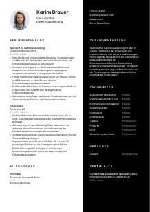 Lebenslauf-Vorlage für Spezialist*in für Datenvisualisierung #3