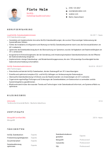Lebenslauf-Vorlage für NoSQL-Datenbankadministrator*in #1