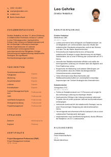Lebenslauf-Vorlage für Direktor*in Redaktion #3