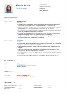 Lebenslauf-Vorlage für Assistenzmanager*in #1