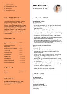 Lebenslauf-Vorlage für Stellvertretende*r Direktor*in #3
