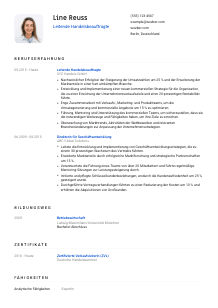 Lebenslauf-Vorlage für Leitende*r Handelsbeauftragte*r #1