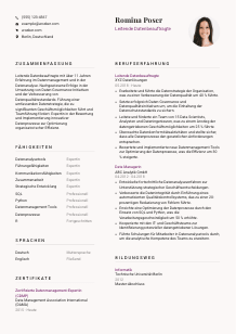 Lebenslauf-Vorlage für Leitende*r Datenbeauftragte*r #3