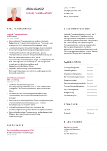Lebenslauf-Vorlage für Leitende*r Finanzbeauftragte*r #2