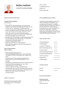 Lebenslauf-Vorlage für Leitende*r Finanzbeauftragte*r #1