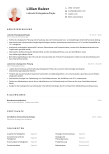 Lebenslauf-Muster für Leitende*r Strategiebeauftragte*r