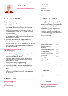 Lebenslauf-Vorlage für Leitende*r Strategiebeauftragte*r #2