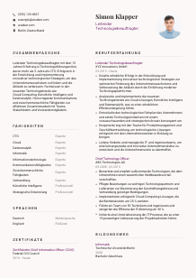 Lebenslauf-Vorlage für Leitende*r Technologiebeauftragte*r #3