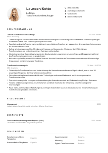 Lebenslauf-Muster für Leitende*r Transformationsbeauftragte*r