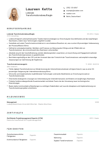 Lebenslauf-Vorlage für Leitende*r Transformationsbeauftragte*r #3