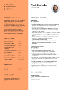 Lebenslauf-Vorlage für Vizepräsident*in #3