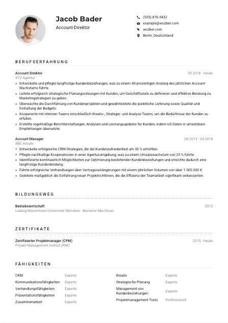 Lebenslauf-Muster für Account-Direktor*in