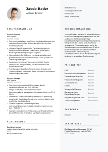 Lebenslauf-Vorlage für Account-Direktor*in #2