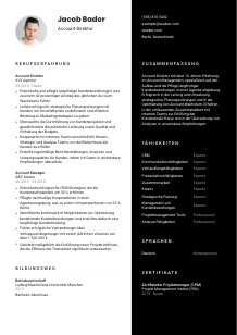 Lebenslauf-Vorlage für Account-Direktor*in #3