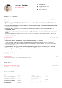 Lebenslauf-Vorlage für Account-Direktor*in #1