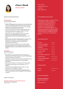 Lebenslauf-Vorlage für Abteilungschef*in #3