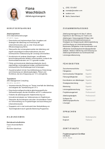 Lebenslauf-Vorlage für Abteilungsmanager*in #2