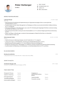 Lebenslauf-Muster für Direktor*in
