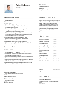 Lebenslauf-Vorlage für Direktor*in #1