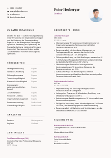 Lebenslauf-Vorlage für Direktor*in #3