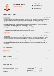 Lebenslauf-Vorlage für Generalmanager*in #3