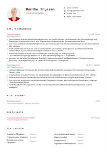 Lebenslauf-Vorlage für Generalmanager*in #1