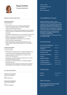 Lebenslauf-Vorlage für Programmdirektor*in #2
