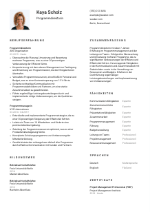 Lebenslauf-Vorlage für Programmdirektor*in #1