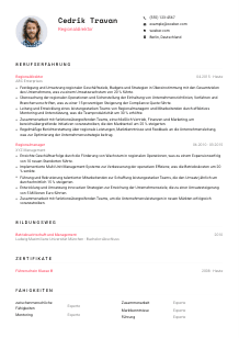 Lebenslauf-Vorlage für Regionaldirektor*in #1