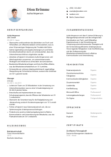 Lebenslauf-Vorlage für Aufsichtsperson #1