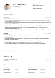 Lebenslauf-Muster für Teammanager*in