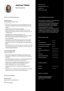 Lebenslauf-Vorlage für Robotikingenieur*in #3