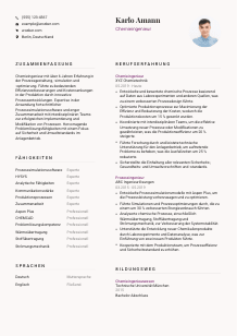 Lebenslauf-Vorlage für Chemieingenieur*in #3