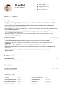 Lebenslauf-Muster für Prozessingenieur*in