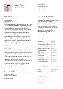 Lebenslauf-Vorlage für Prozessingenieur*in #2
