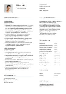 Lebenslauf-Vorlage für Prozessingenieur*in #1
