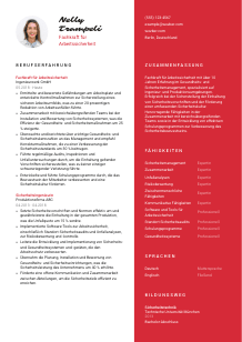 Lebenslauf-Vorlage für Fachkraft für Arbeitssicherheit #3