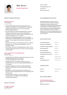 Lebenslauf-Vorlage für Industrieingenieur*in #2