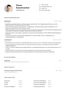 Lebenslauf-Muster für Erdölingenieur*in